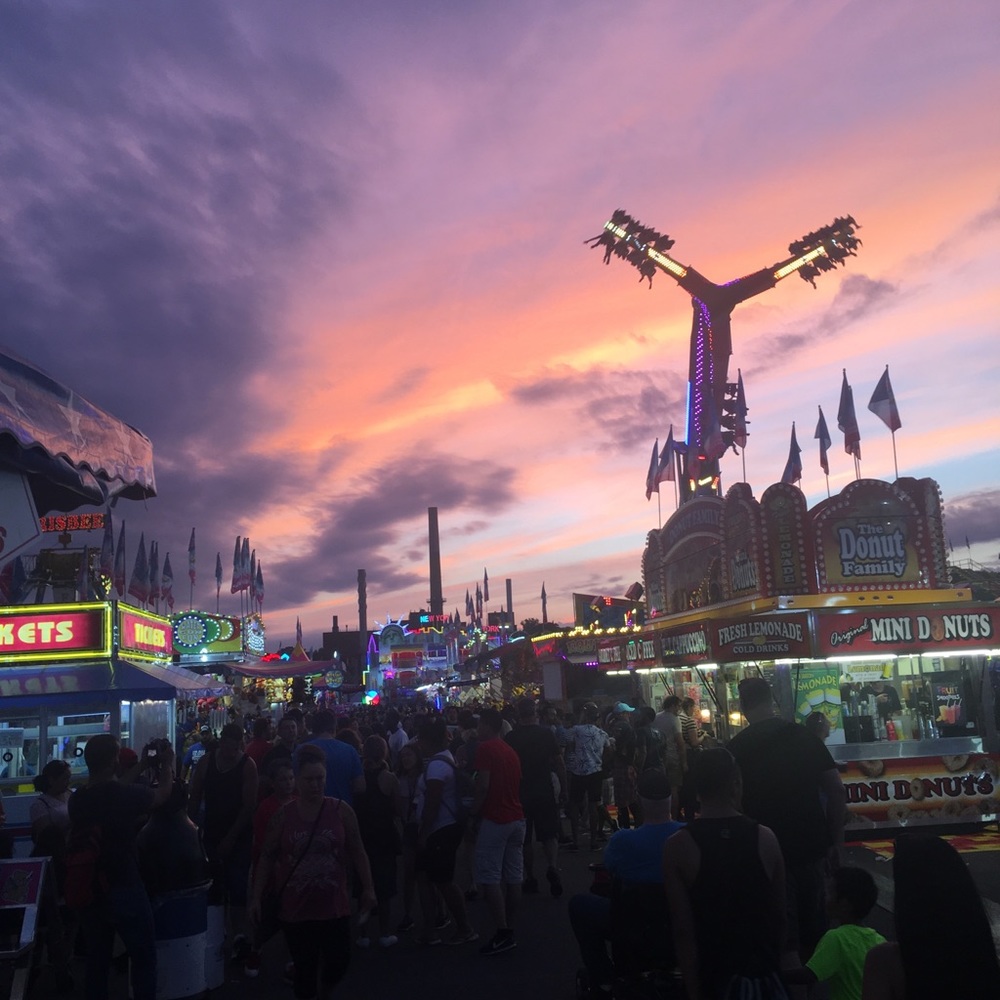 Meet your Posher, Lucy